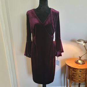 Calvin Klein Velvet Dress